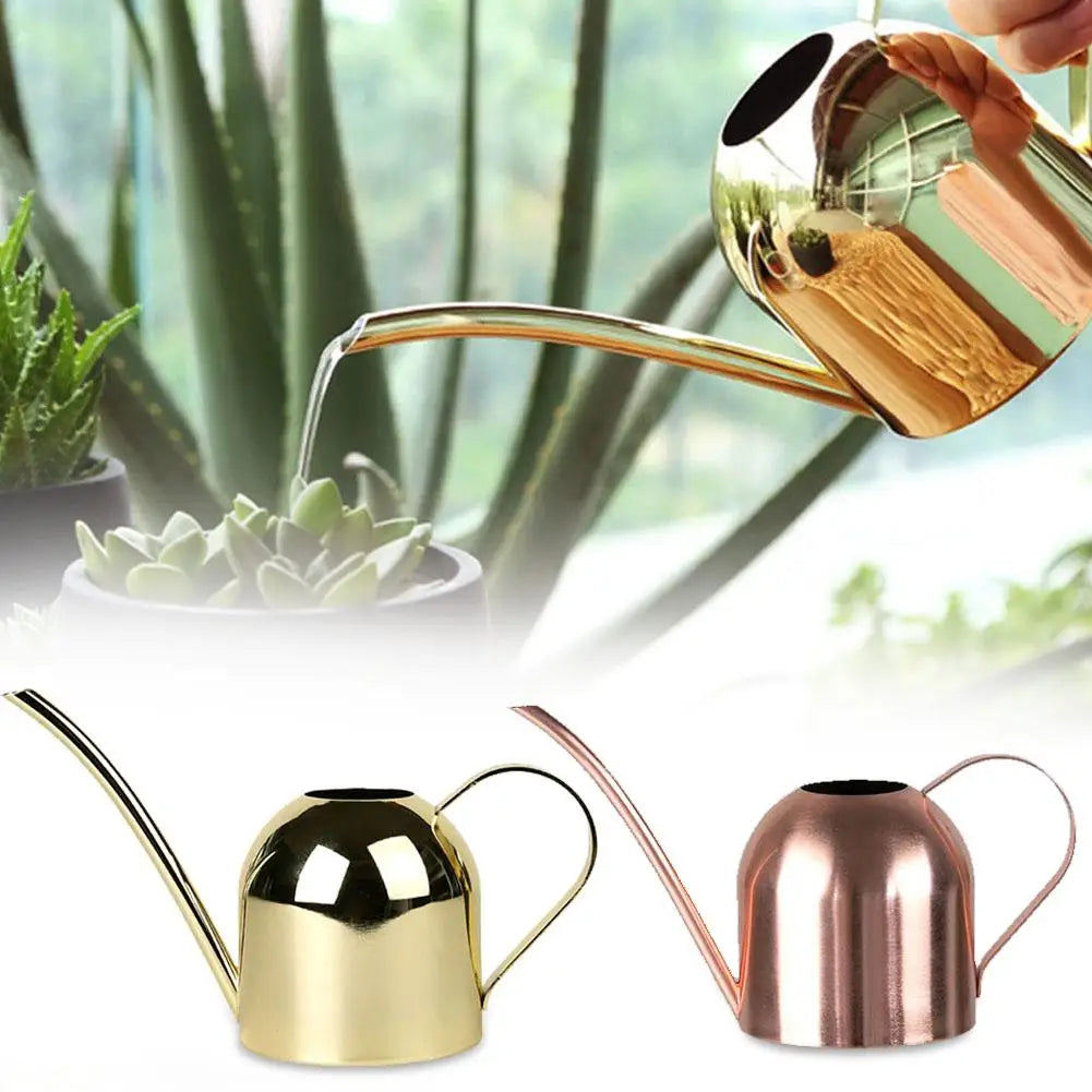 Stainless Steel Long Mouth Watering Can for Indoor Plants - Smarsty