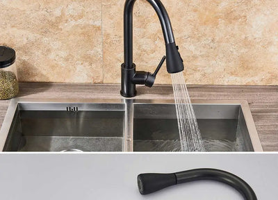 Rozin Chrome Kitchen Faucet with Pull Out Sprayer - Smarsty