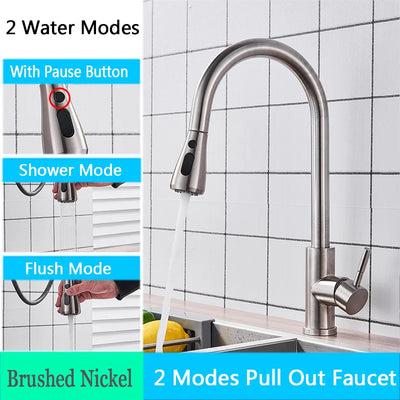 Rozin Chrome Kitchen Faucet with Pull Out Sprayer - Smarsty