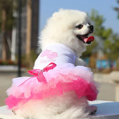 Spring Dog Lace Dress Pet Dog Clothes For Small Dog Party Birthday Wedding  Dress Puppy Costume  Pet Clothes - Smarsty