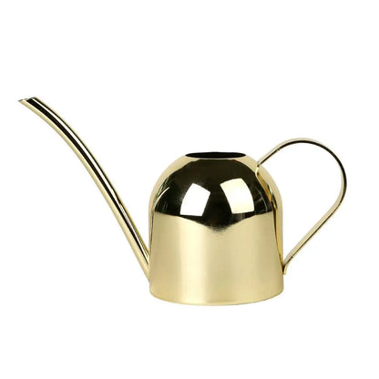 Stainless Steel Long Mouth Watering Can for Indoor Plants - Smarsty