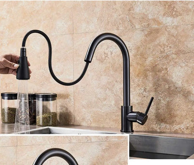 Rozin Chrome Kitchen Faucet with Pull Out Sprayer - Smarsty