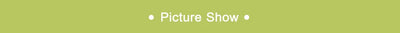 Adjustable Notebook Computer Stand Aluminium Alloy or ABS Folding Laptop Cooler Bracket Portable Desktop Cooling Tablet Stand