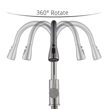 Rozin Chrome Kitchen Faucet with Pull Out Sprayer - Smarsty