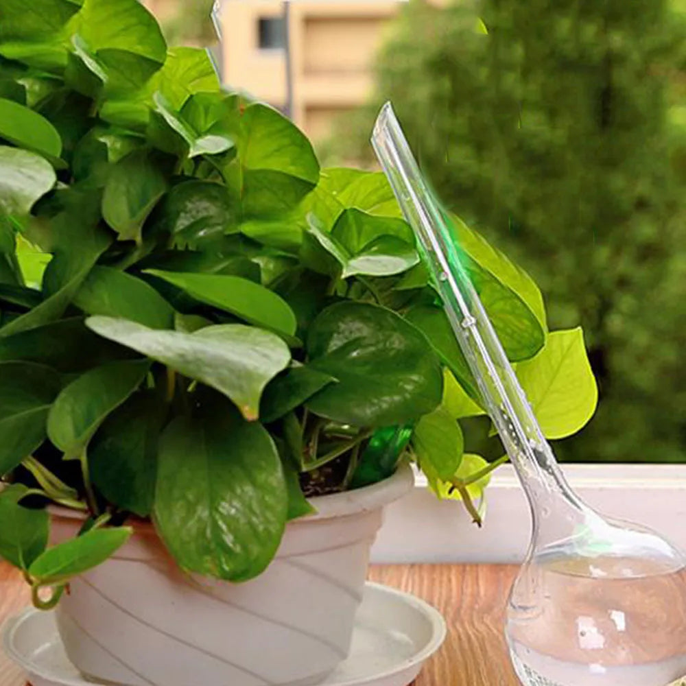 Automatic Plant Watering Bulbs for Hassle-Free Hydration - Smarsty