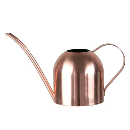 Stainless Steel Long Mouth Watering Can for Indoor Plants - Smarsty