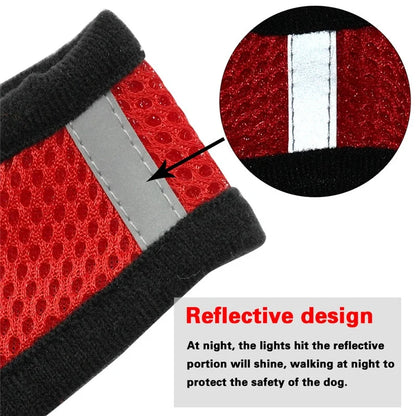Adjustable Dog Harness and Leash Set for Small Dogs - Smarsty