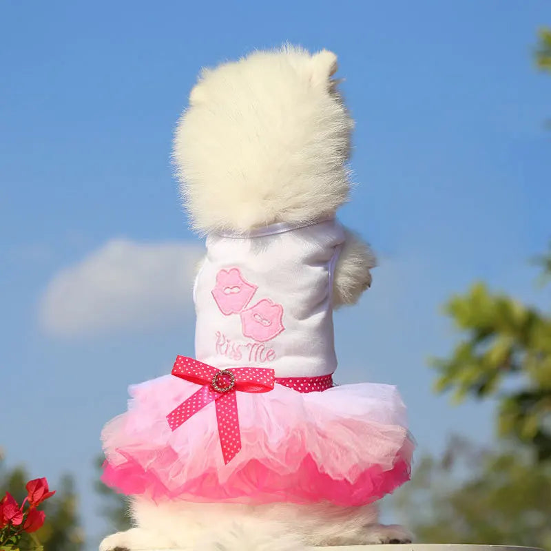 Spring Dog Lace Dress Pet Dog Clothes For Small Dog Party Birthday Wedding  Dress Puppy Costume  Pet Clothes - Smarsty