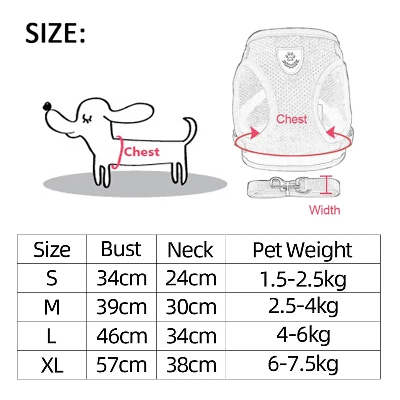 Adjustable Dog Harness and Leash Set for Small Dogs - Smarsty