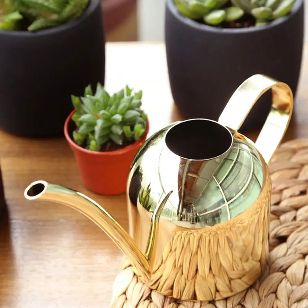 Stainless Steel Long Mouth Watering Can for Indoor Plants - Smarsty