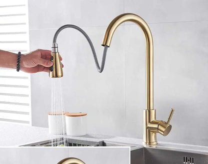 Rozin Chrome Kitchen Faucet with Pull Out Sprayer - Smarsty