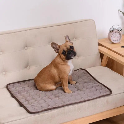 Cooling Dog Mat Summer Pad for All Breeds - Smarsty