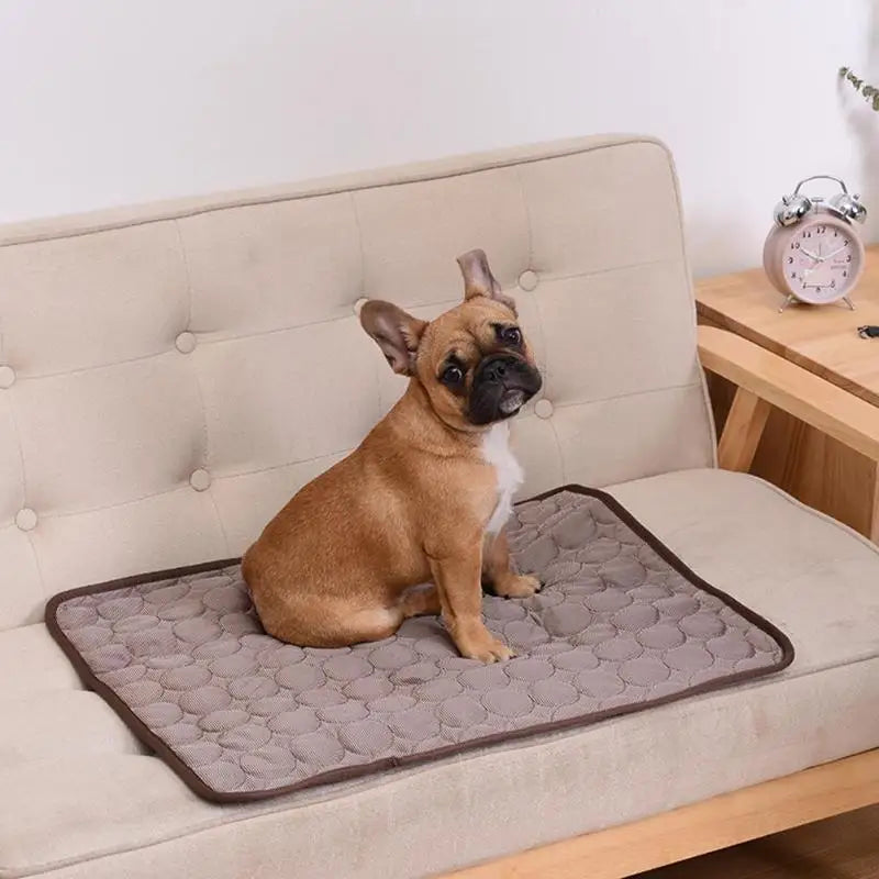 Cooling Dog Mat Summer Pad for All Breeds - Smarsty