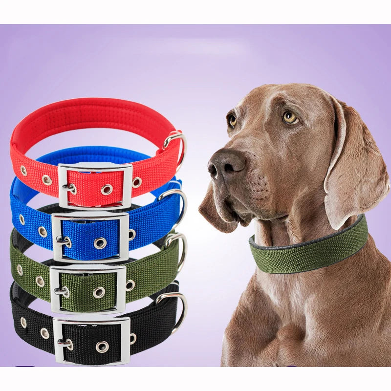 Solid Nylon Dog Collar for All Breeds and Durability - Smarsty