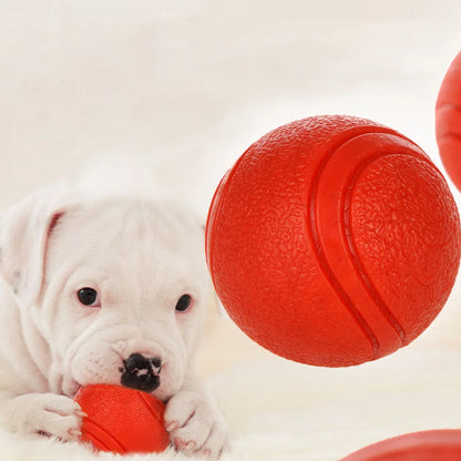 Hoopet Bite-Resistant Rubber Dog Ball Toy - Smarsty