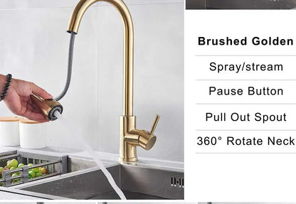 Rozin Chrome Kitchen Faucet with Pull Out Sprayer - Smarsty