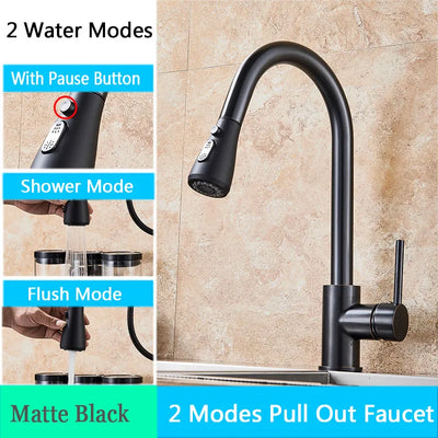 Rozin Chrome Kitchen Faucet with Pull Out Sprayer - Smarsty