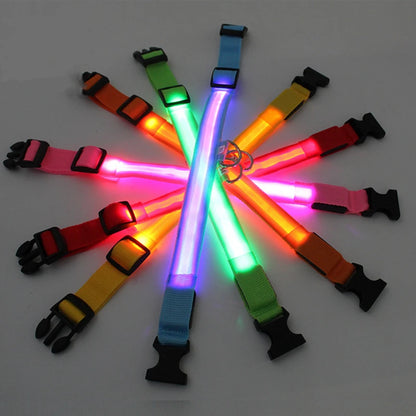 USB Charging Bright LED Dog Collar for Night Safety - Smarsty