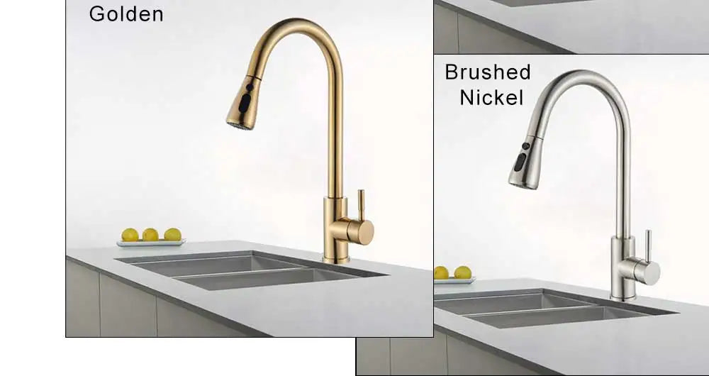 Rozin Chrome Kitchen Faucet with Pull Out Sprayer - Smarsty