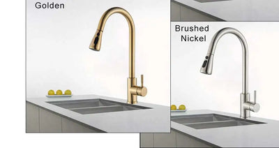 Rozin Chrome Kitchen Faucet with Pull Out Sprayer - Smarsty