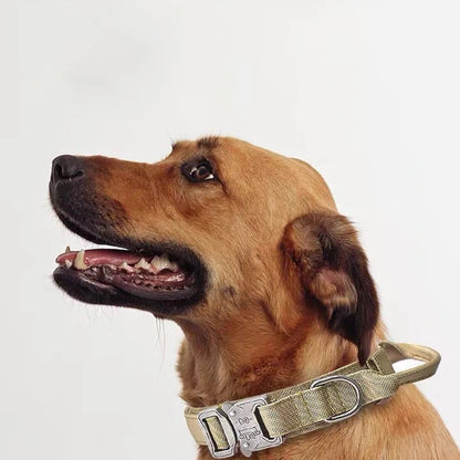 Durable Reflective Nylon Dog Collar and Leash Set - Smarsty