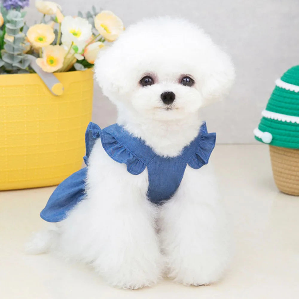 Cute Denim Dress for Small Dogs with Leash Ring - Smarsty