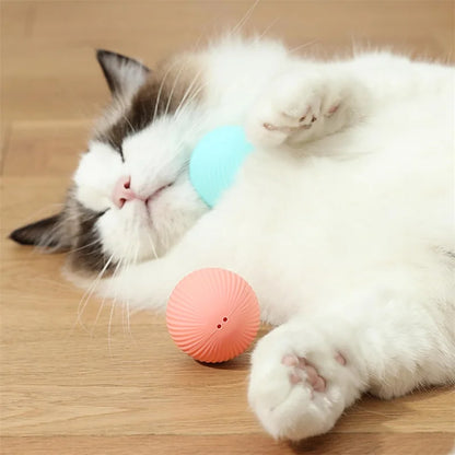 Interactive Smart Dog Toy Ball For Active Play - Smarsty