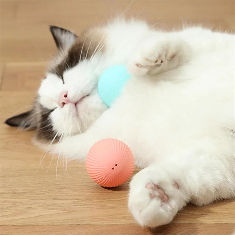 Interactive Smart Dog Toy Ball For Active Play - Smarsty