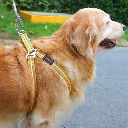 Double-Headed Dog Tie Out Cable Leash with Metal Buckle - Smarsty