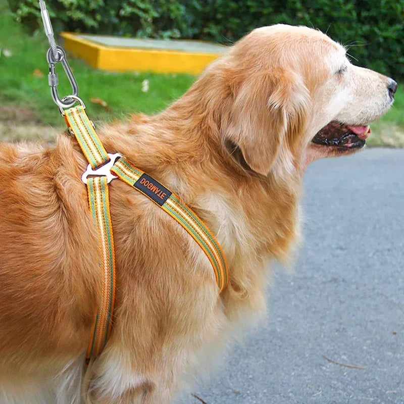 Double-Headed Dog Tie Out Cable Leash with Metal Buckle - Smarsty