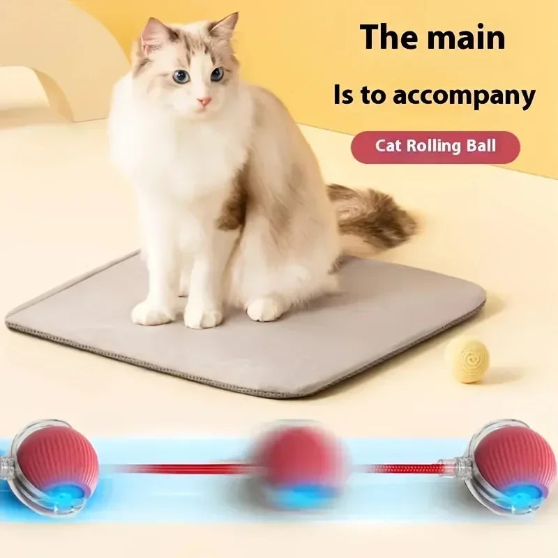 Automatic Rolling Cat Ball Toy with Rechargeable Faux Tail - Smarsty