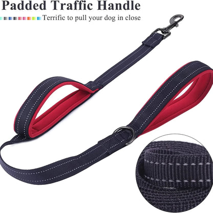 Heavy Duty Dog Leash with Dual Handles for Control - Smarsty