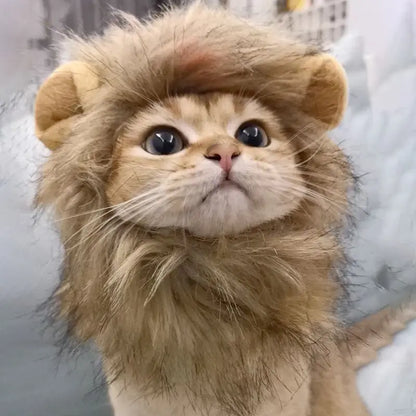 Lion Mane Wig Hat for Dogs and Cats - Smarsty