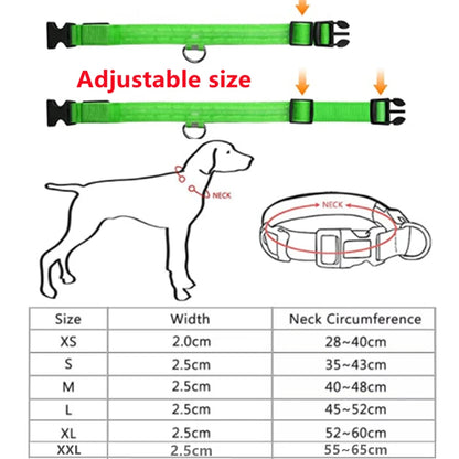 USB Charging Bright LED Dog Collar for Night Safety - Smarsty