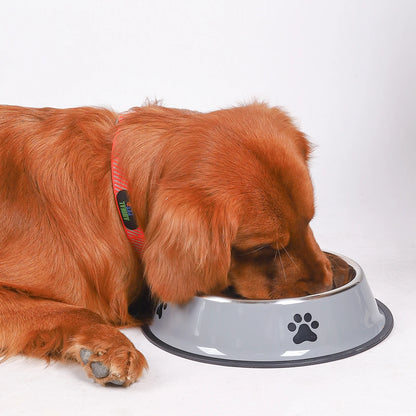 Stainless Steel Anti-Fall Pet Bowl for Dogs and Cats - Smarsty