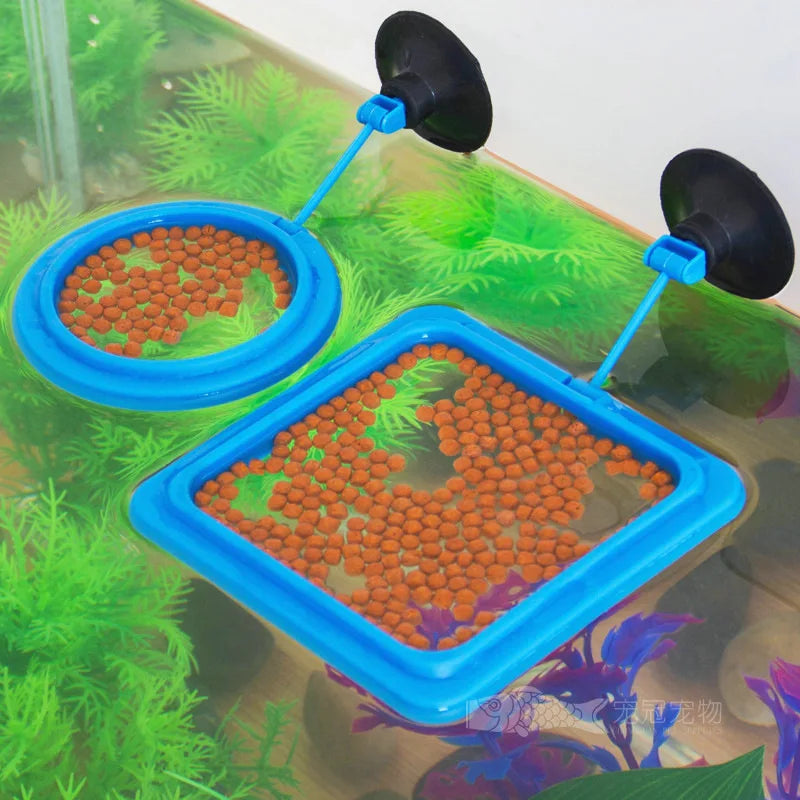 Portable Aquarium Fish Feeding Ring with Suction Cups - Smarsty