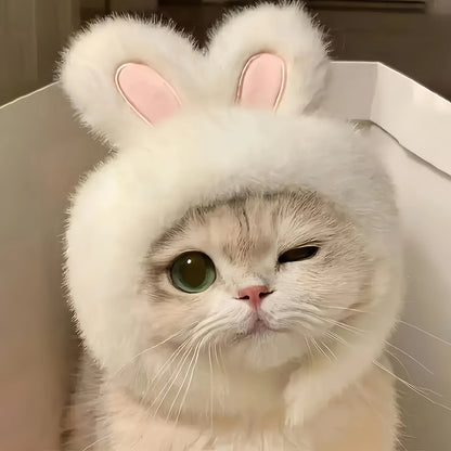 Bunny Ears Cat Hat Comfortable Knit Costume for Pets - Smarsty
