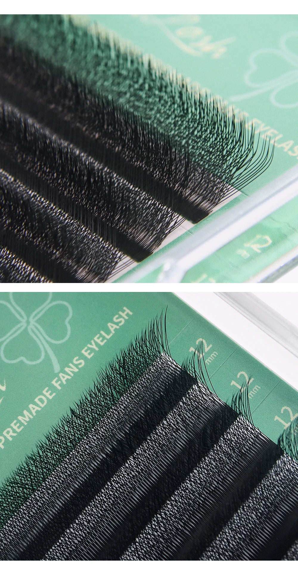 Glamlash 4D W Shape Eyelash Extensions for Dramatic Volume - Smarsty