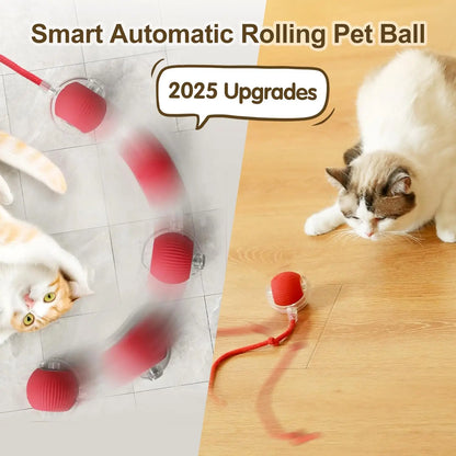 Interactive Cat Toy Ball With Rechargeable Tail - Smarsty