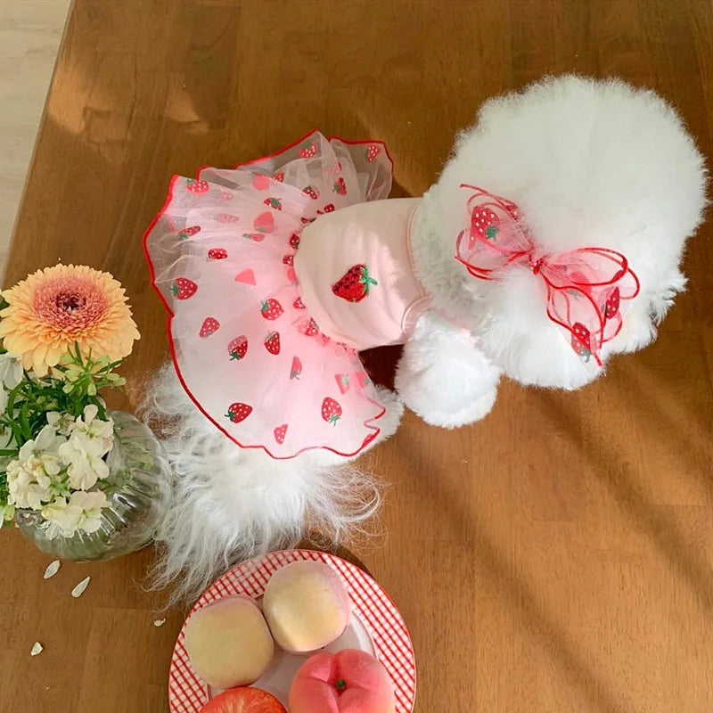 Summer Strawberry Dog Dress with Suspender Skirt - Smarsty