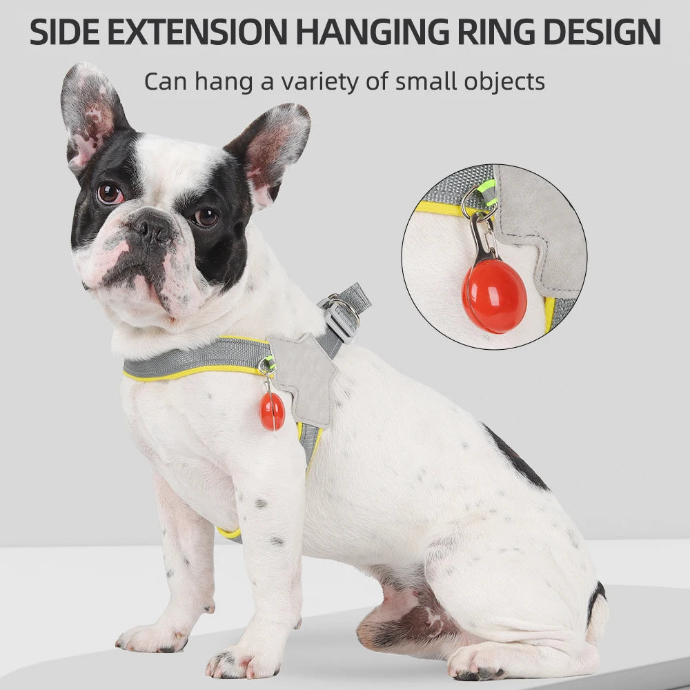 Reflective No Pull Dog Harness for Small Dogs - Smarsty