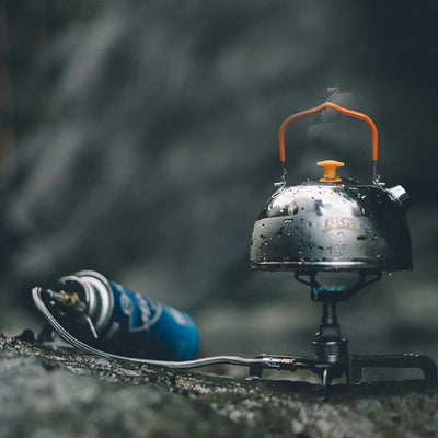 BRS Outdoor Gas Stove Mini Camping Gas Burner 25g Ultralight Titanium Picnic Hiking Cooking Stove Survival Furnace BRS-3000T by Smarsty