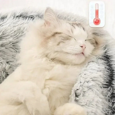Cozy Plush Cat Bed for Warm Comfortable Sleep - Smarsty