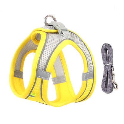 Adjustable Dog Harness Leash Set for Small Dogs - Smarsty