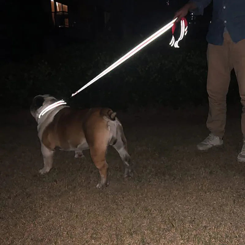 Reflective Dog Harness Leash for Safe Night Walks - Smarsty