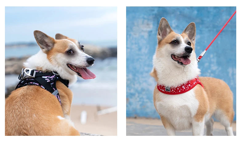 Truelove Floral Mesh Harness for Dogs and Cats - Smarsty