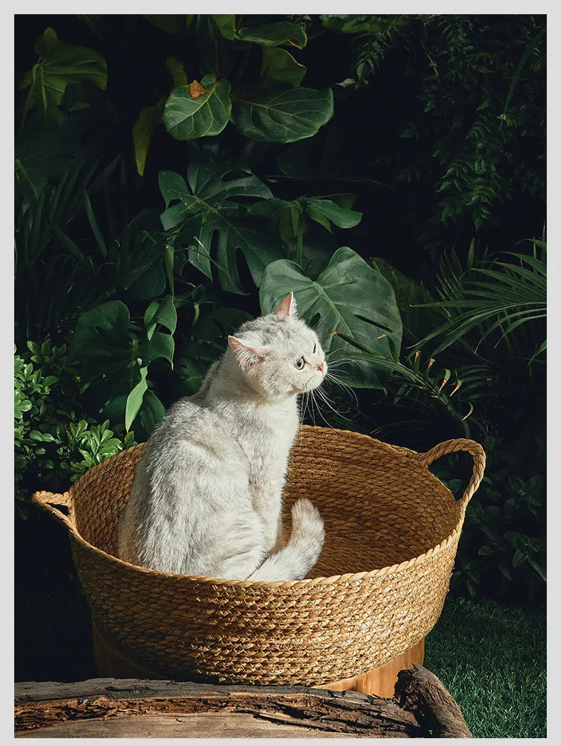 Rattan Weaving Cat Bed for Comfortable Summer Sleep - Smarsty