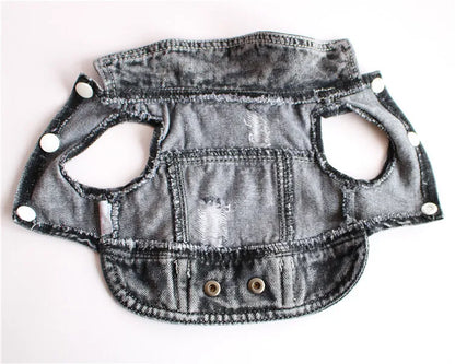Cool Dog Jeans Jacket for Small Dogs Fashionable Style - Smarsty