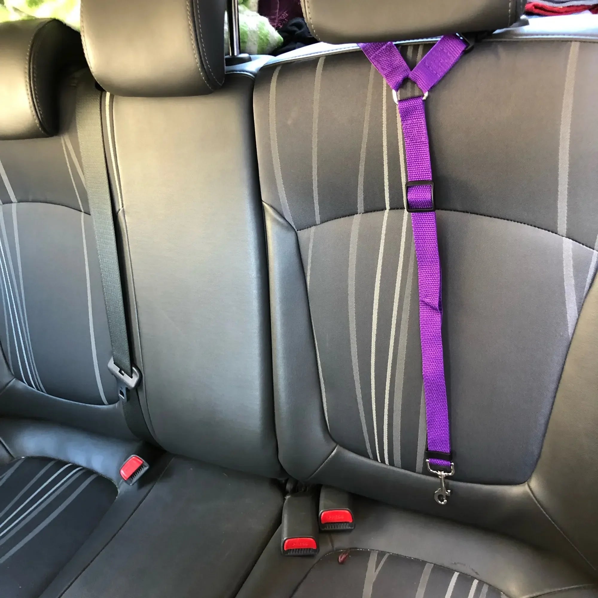 Adjustable Two-in-One Pet Car Seat Belt Harness - Smarsty