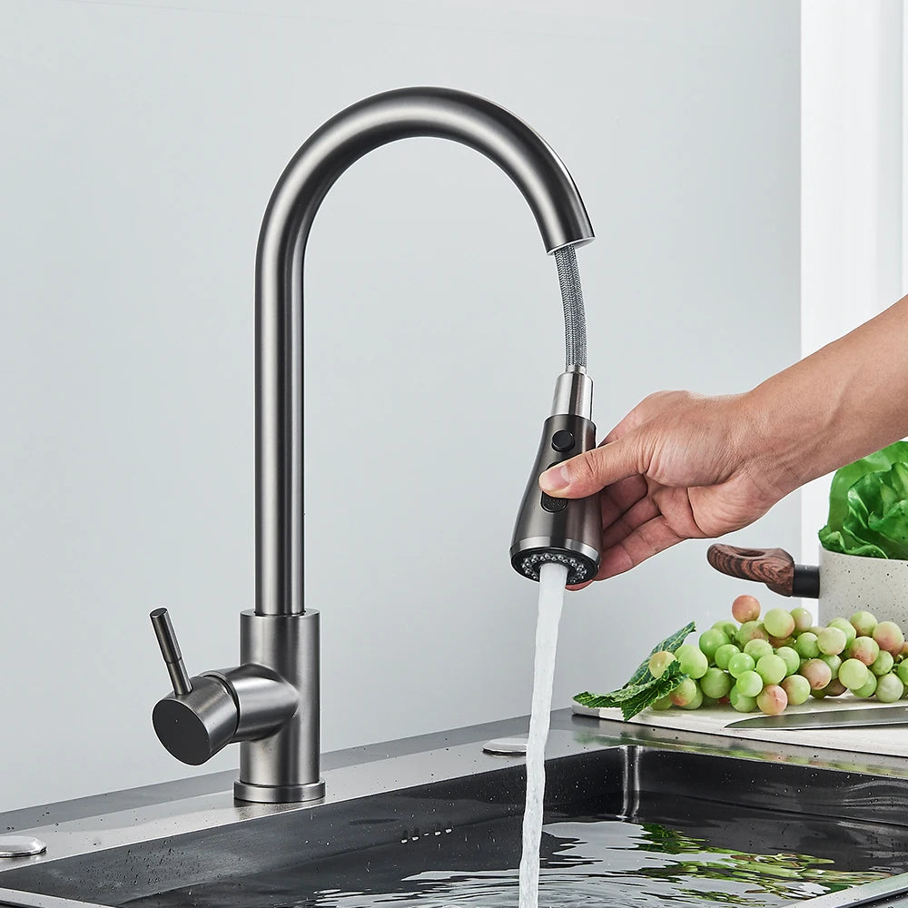 Rozin Chrome Kitchen Faucet with Pull Out Spout - Smarsty